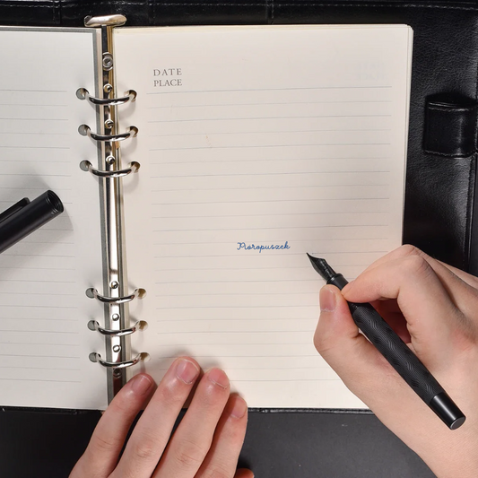 Black Swan Fountain Pen - Black Swan EF, F, M